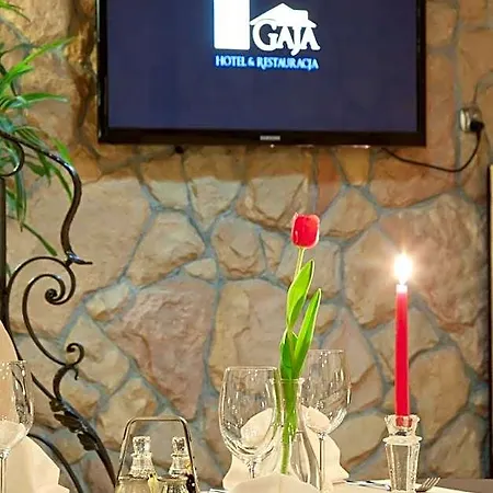 Gaja Отель 2*