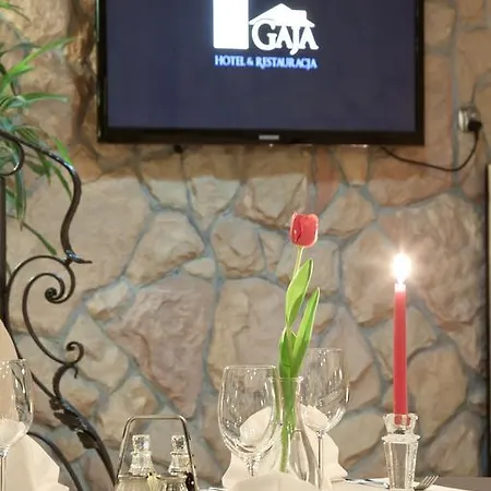 Hotel Gaja Varsavia