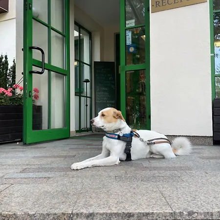 Gaja Hotel