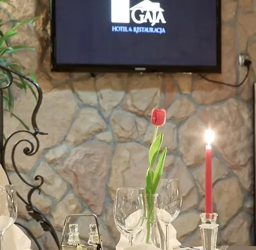 فندق Gaja وارسو